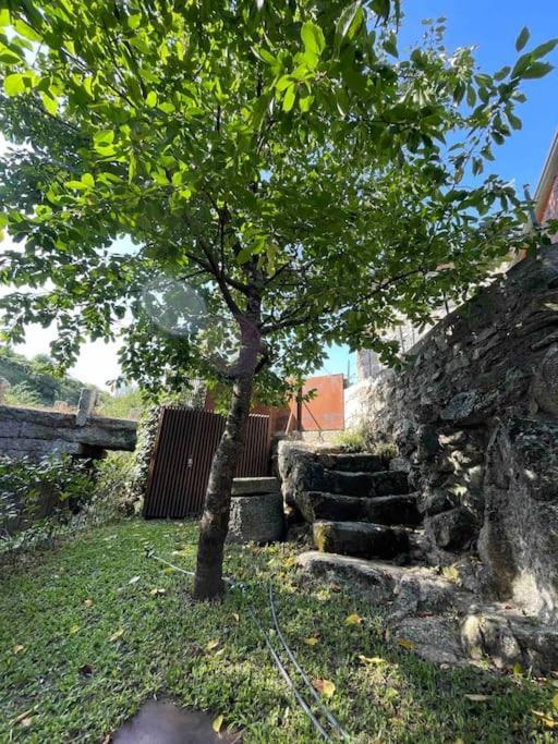 Casa Da Tintim Em Baiao Villa Bagian luar foto