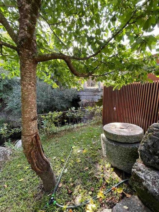 Casa Da Tintim Em Baiao Villa Bagian luar foto