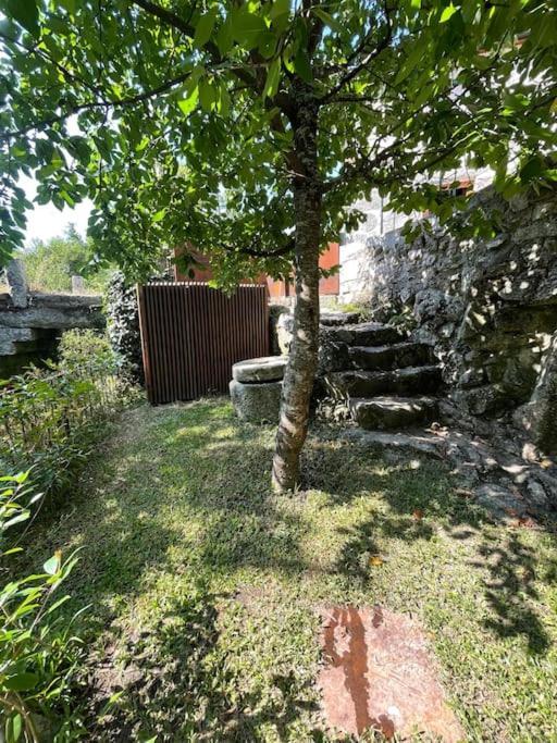 Casa Da Tintim Em Baiao Villa Bagian luar foto